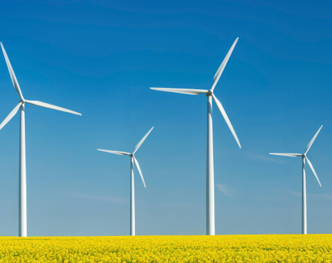 Reliance Heavy Lift Testing Solutions Rebrands as Brook Heavy Lift Testing Solutions